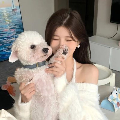 蜜月杀手 海报