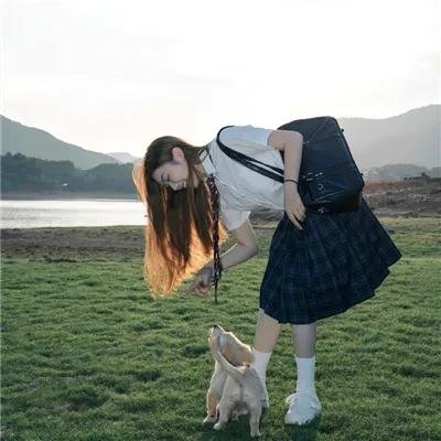 龟女士的奥德赛 海报